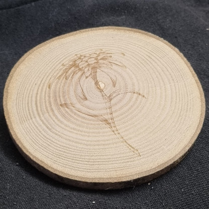 Sous-bock bois - Edelweiss